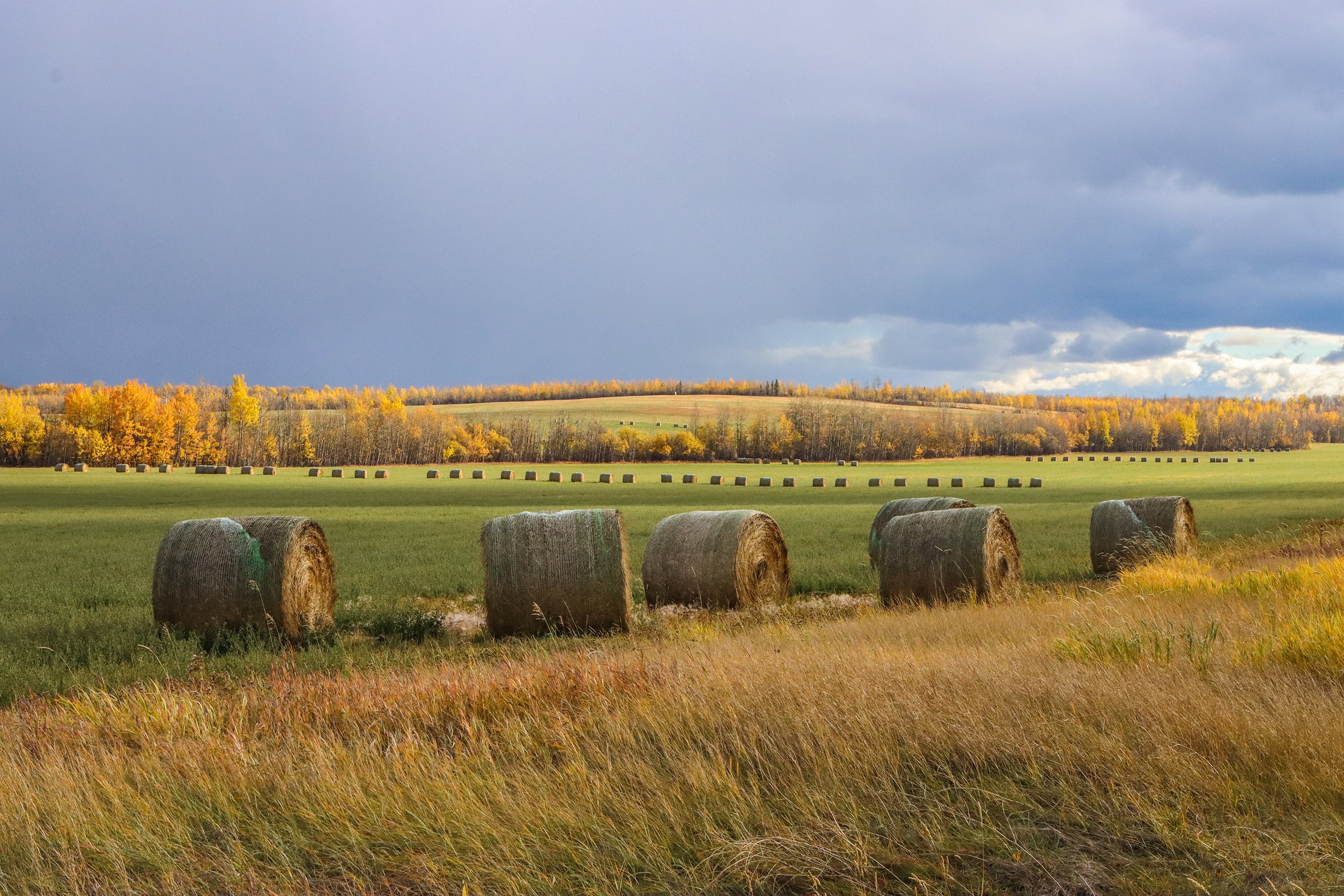 Saskatchewan