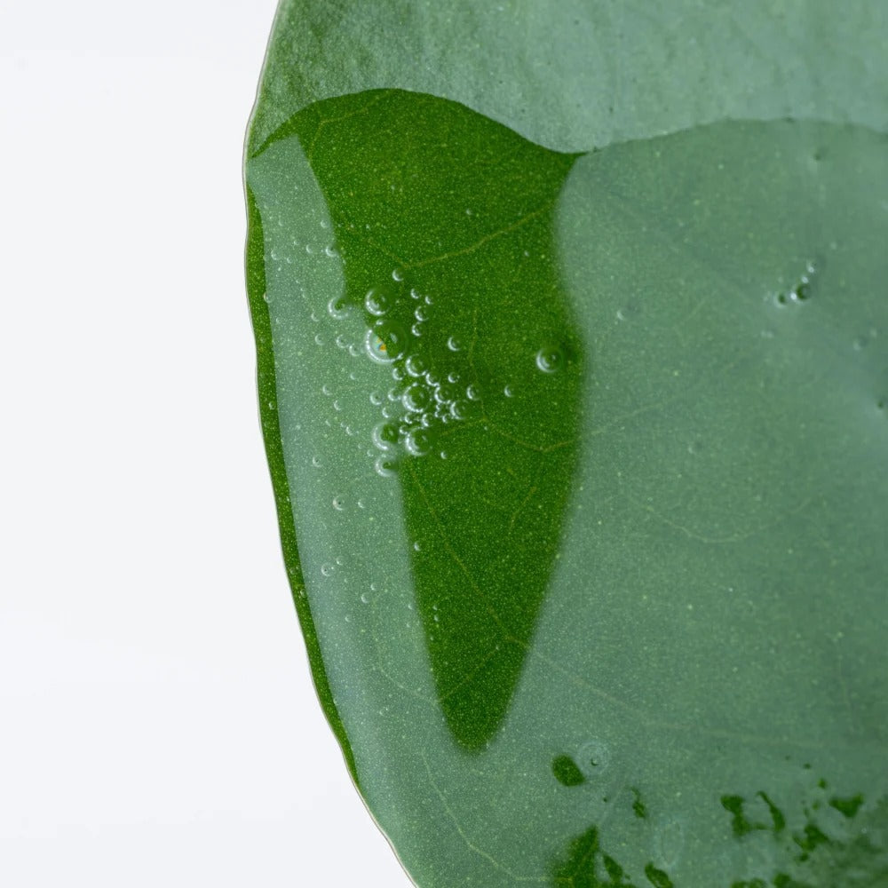 Anti-Aging Serum